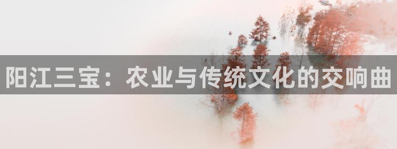 必一体育在线官网