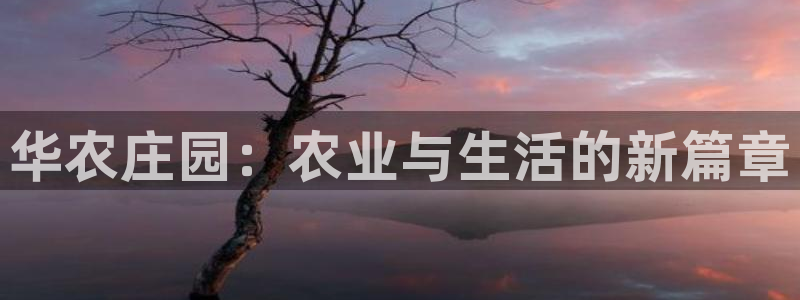 必一体育sport官方网站