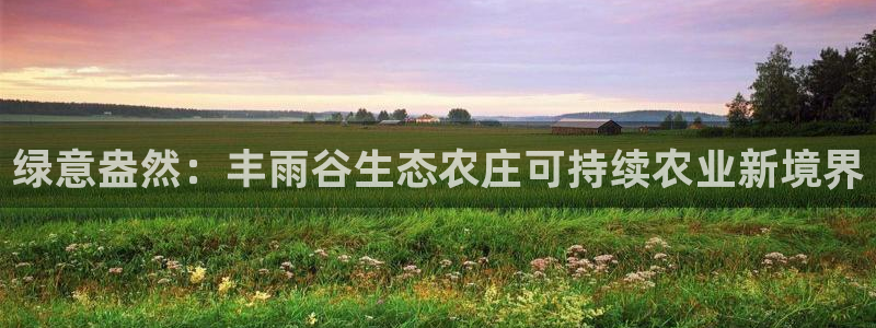 必一运动体育官网下载