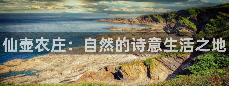 必一运动听的歌