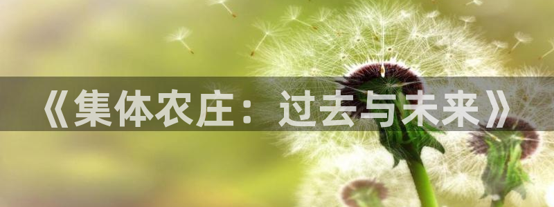 必一体育能提现大金额吗