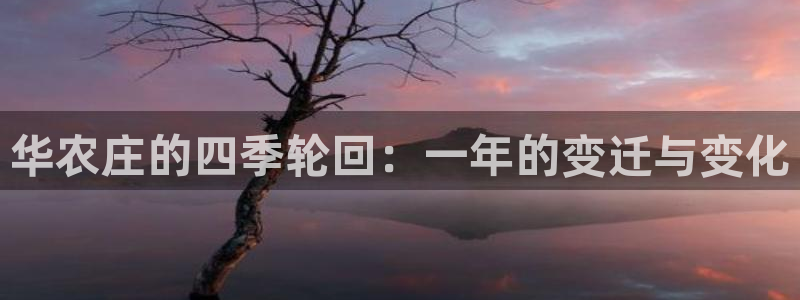 必一运动·(B-Sports)