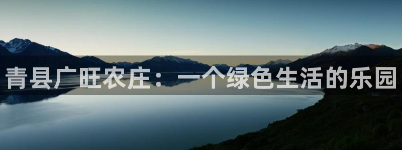 必一体育网页登陆