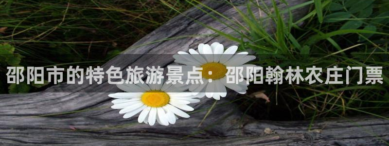 必一体育官方入口