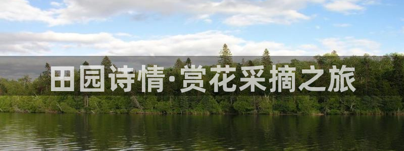 必一体育app官方